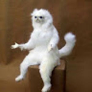 Meet your Posher, Christopher